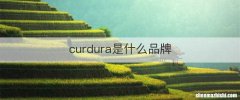 curdura是什么品牌