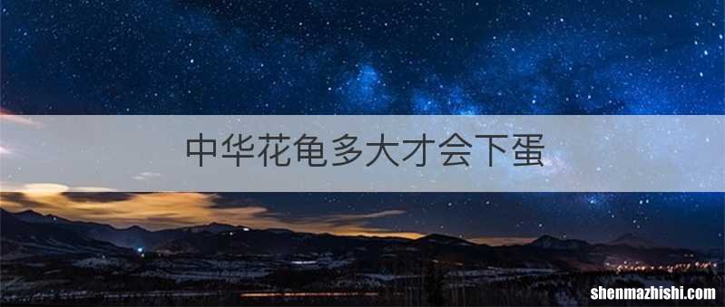 中华花龟多大才会下蛋