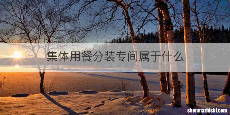 集体用餐分装专间属于什么