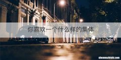 你喜欢一个什么样的集体