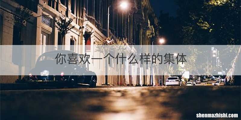 你喜欢一个什么样的集体