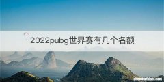 2022pubg世界赛有几个名额