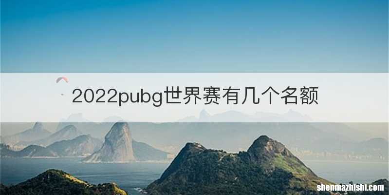 2022pubg世界赛有几个名额