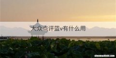 大众点评蓝v有什么用