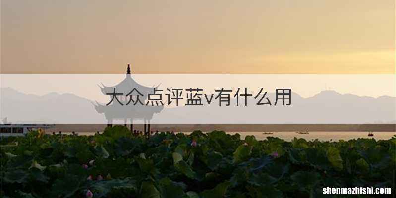 大众点评蓝v有什么用