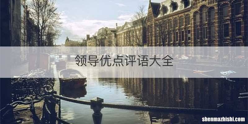领导优点评语大全