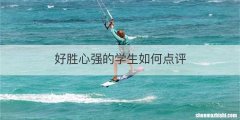 好胜心强的学生如何点评