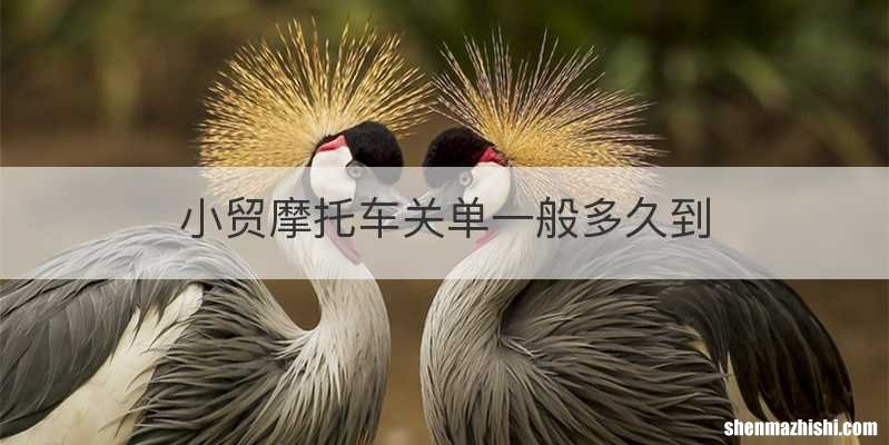 小贸摩托车关单一般多久到