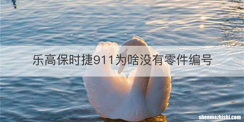 乐高保时捷911为啥没有零件编号