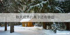 秋天成熟的果子还有哪些