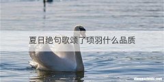 夏日绝句歌颂了项羽什么品质