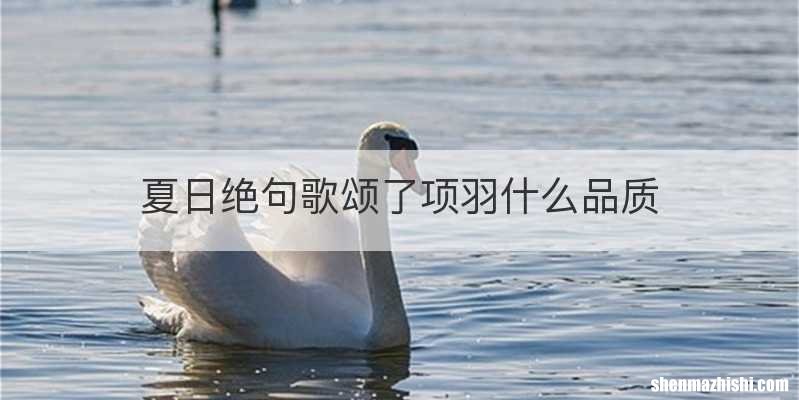 夏日绝句歌颂了项羽什么品质