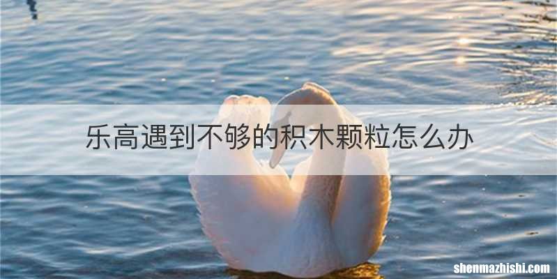 乐高遇到不够的积木颗粒怎么办