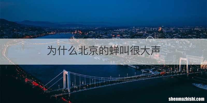 为什么北京的蝉叫很大声