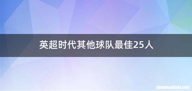 英超时代其他球队最佳25人