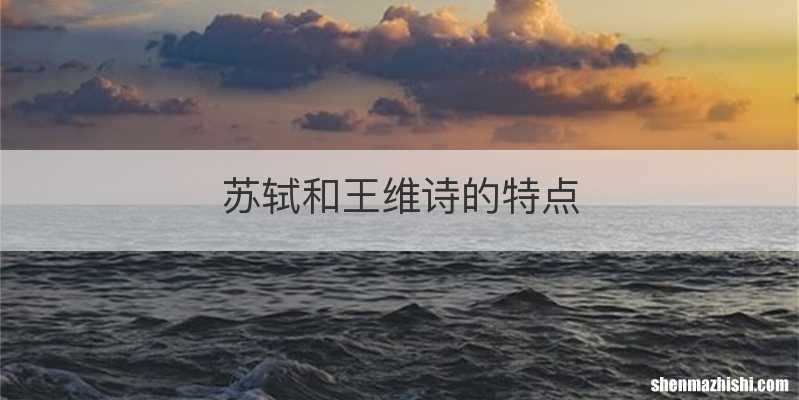 苏轼和王维诗的特点