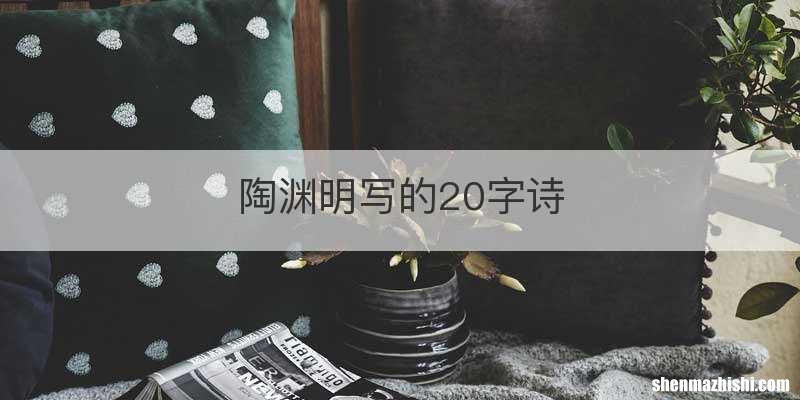 陶渊明写的20字诗