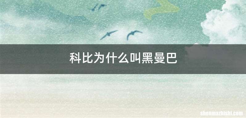 科比为什么叫黑曼巴