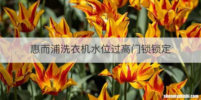 惠而浦洗衣机水位过高门锁锁定