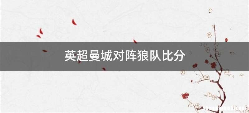 英超曼城对阵狼队比分