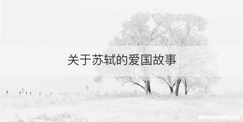 关于苏轼的爱国故事