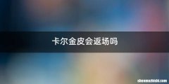 卡尔金皮会返场吗