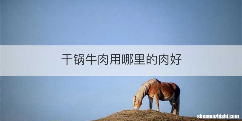 干锅牛肉用哪里的肉好