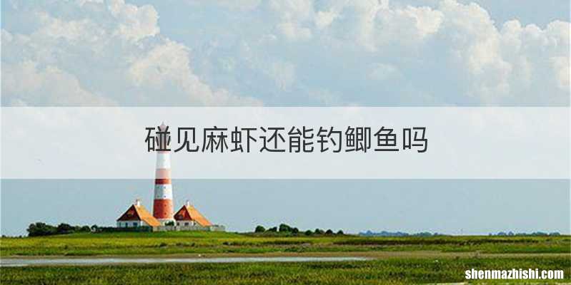 碰见麻虾还能钓鲫鱼吗