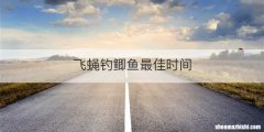 飞蝇钓鲫鱼最佳时间