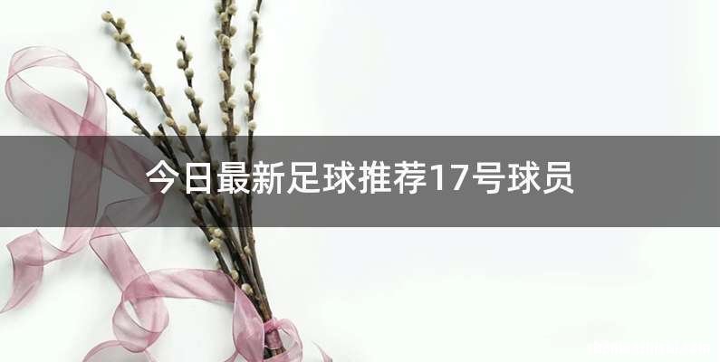 今日最新足球推荐17号球员