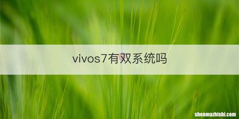 vivos7有双系统吗