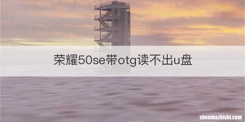 荣耀50se带otg读不出u盘