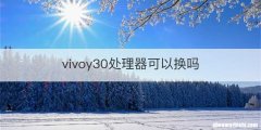 vivoy30处理器可以换吗