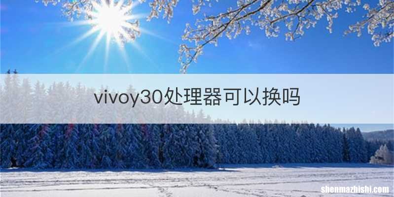 vivoy30处理器可以换吗