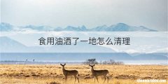 食用油洒了一地怎么清理
