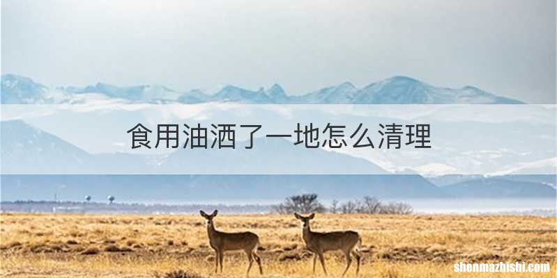 食用油洒了一地怎么清理