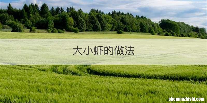 大小虾的做法