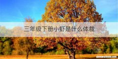 三年级下册小虾是什么体裁