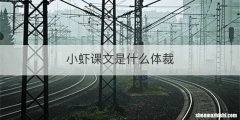 小虾课文是什么体裁