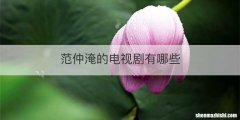 范仲淹的电视剧有哪些