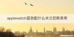 苏轼与梅尧臣的关系