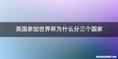 英国参加世界杯为什么分三个国家