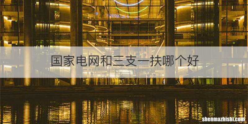 国家电网和三支一扶哪个好