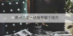 贵州三支一扶报考哪个地方