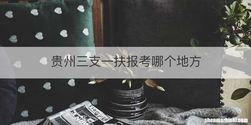 贵州三支一扶报考哪个地方