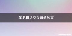 菲戈和贝克汉姆谁厉害