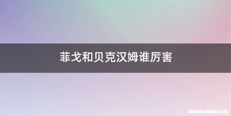 菲戈和贝克汉姆谁厉害