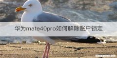 华为mate40pro如何解除账户锁定