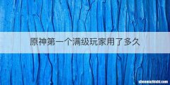 原神第一个满级玩家用了多久