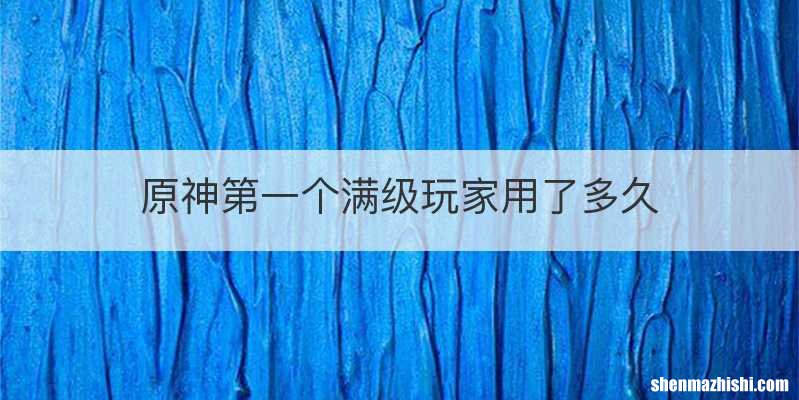 原神第一个满级玩家用了多久
